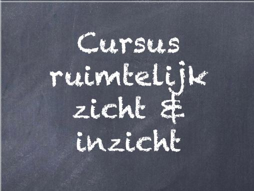 Tijdens deze opleidingsdag ruimtelijk zicht en inzicht, bij Breincentrum, leert u om ruimtelijk zicht en inzicht problemen vast te stellen en het te kunnen trainen met een oefenprogramma.

Ruimtelijk zicht en inzicht verschillen slechts twee letters en dat is niet toevallig.

Zonder ruimtelijk zicht geen of beperkt ruimtelijk inzicht. Het een komt voort uit het ander. Als er door wat voor oorzaak ook een afwijking in het ruimtelijk zicht – hoe klein en bijna onopmerkbaar ook – aanwezig is, dan heeft dat gevolgen voor de ontwikkeling van het ruimtelijk inzicht. En daarmee o.a. voor het leren rekenen.
