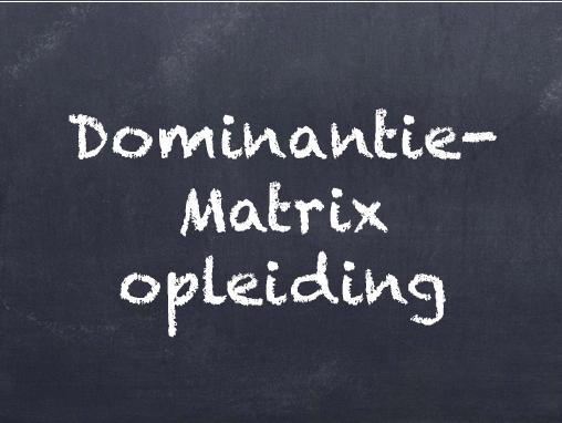 Tijdens deze opleidingsdag bij Breincentrum leert u via de DominantieMatrix vast te stellen wat de sterke kanten van een persoon zijn en hoe die ingezet kunnen worden. U leert ook de zwakke kanten vaststellen en nog belangrijker hoe u die via gerichte training en maatregelen kunt verbeteren.